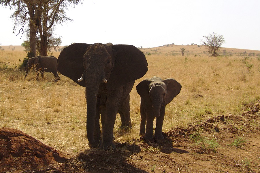 Mit IN VIA Köln im April 2020 nach Uganda