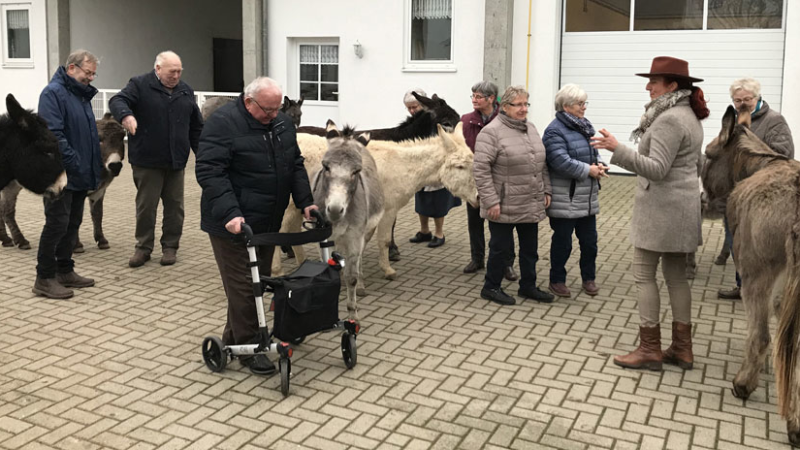 ‚Rabbel de Büx‘ auf der Ballermann Ranch