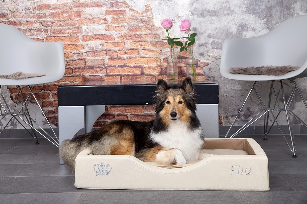 NEU I GEL – Hundebett gesund und exklusiv