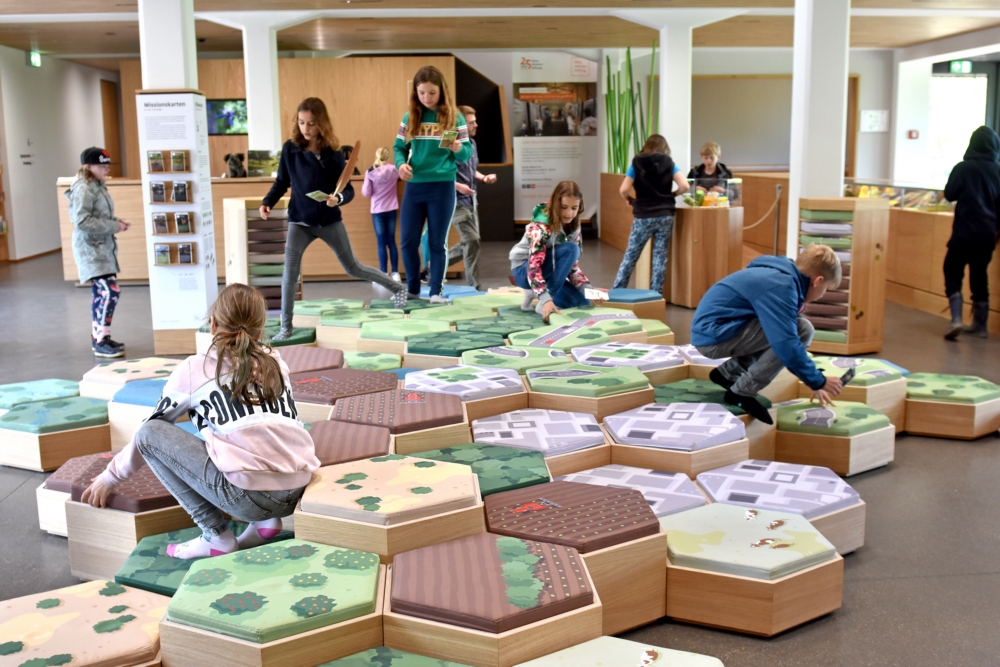 Wettbewerb „Natur macht Schule“: Aktionen gegen das Artensterben gesucht