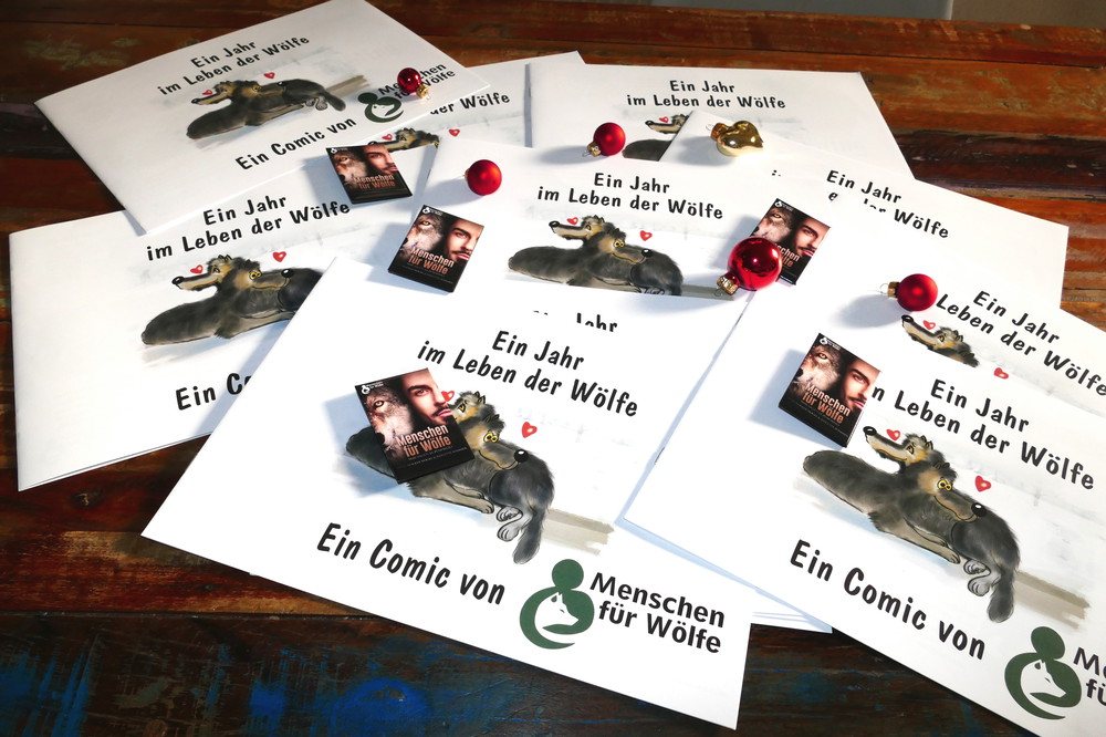 Comic erzählt über ein Jahr im Leben der Wölfe