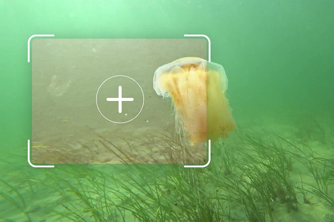 Oceanology International 2020: Maschinelles Lernen verbessert in Echtzeit die Unterwassersicht