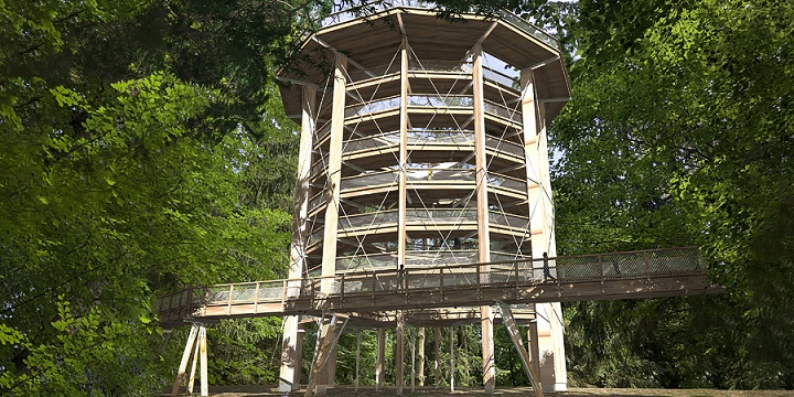 Baustart am Baumwipfelpfad Elsass – die Bauarbeiten zum Baumwipfelpfad Elsass beginnen