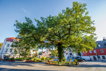 Der Natur auf der Spur