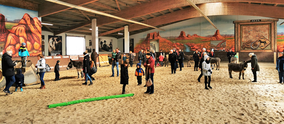 Viel los auf der Aiderbichl-Ranch