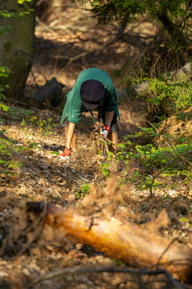 20.000 Stunden für den Wald – jetzt erst recht!