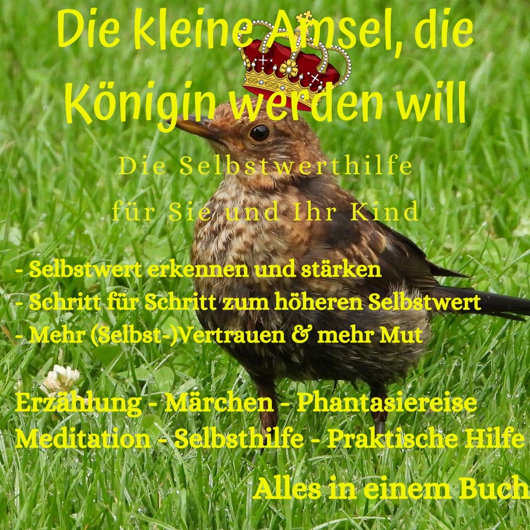 Die kleine Amsel, die Königin werden will