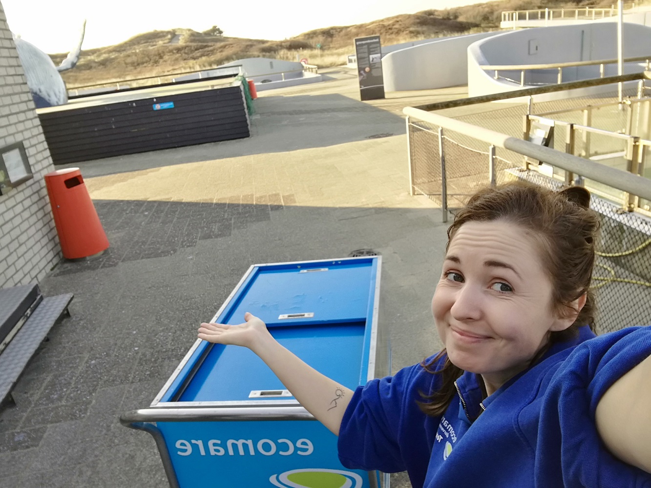 Allein unter Seehunden: Einblick in die Arbeit der Tierpfleger des „Ecomare“