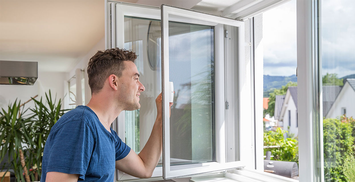 Insektenschutz Fenster – massgenauer Schutz vor Insekten