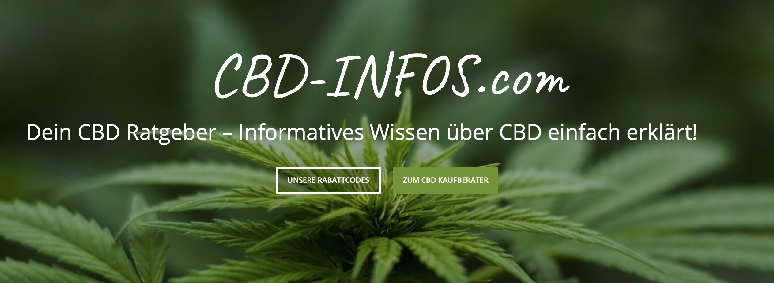 Das unabhängige CBD-Portal CBD-Infos.com  im Fokus