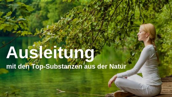 Ausscheidung von Schadstoffen optimieren