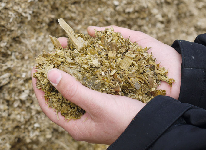 AGRAVIS Raiffeisen AG: Wie biologische Siliermittel wirken