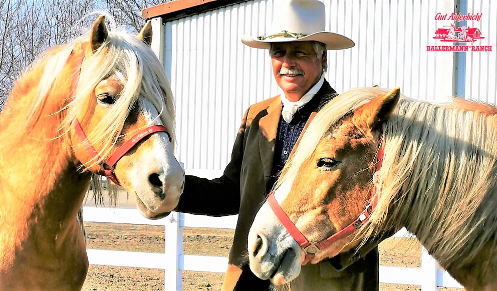 DIE BALLERMANNS RETTEN ZIRKUS-PFERDE