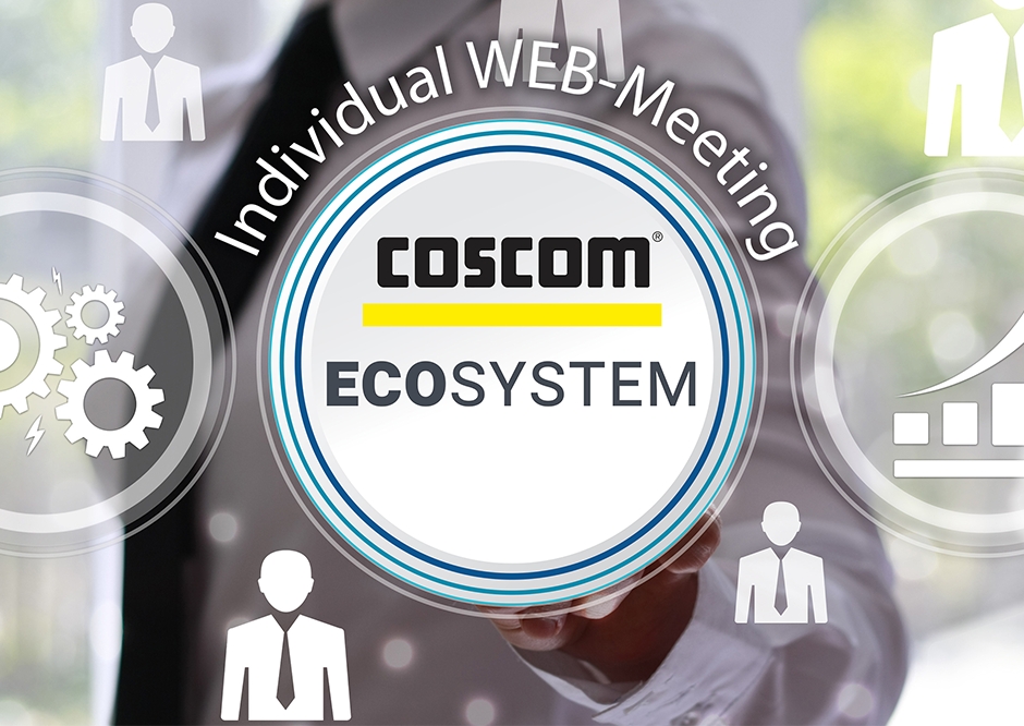 COSCOM Individual WEB-Meetings