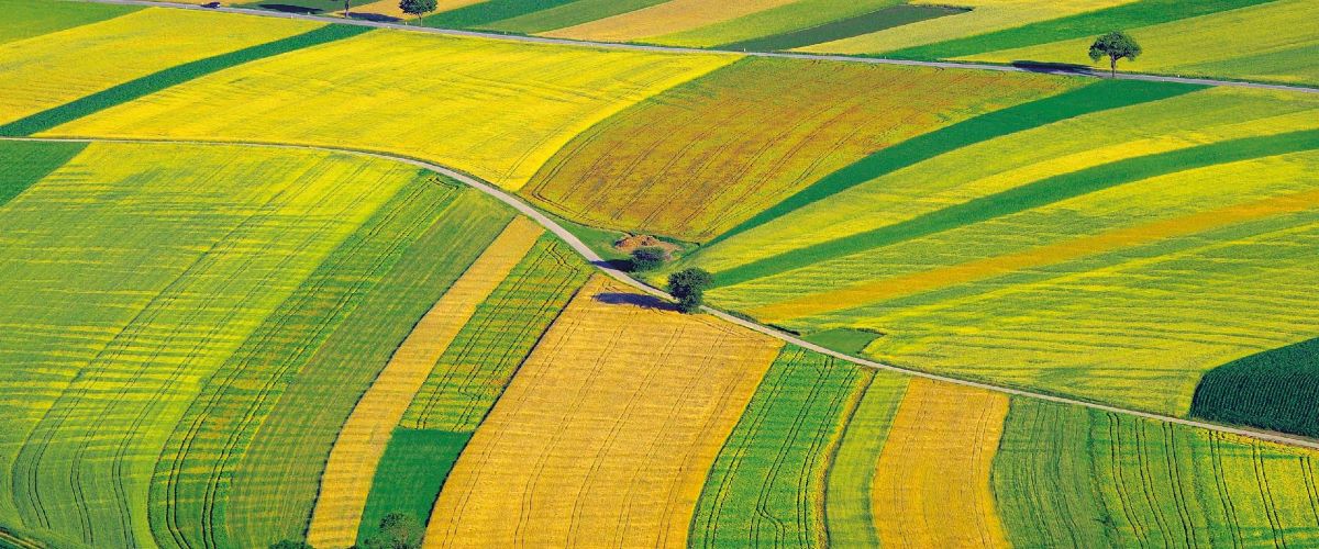 Warum eine weite Fruchtfolge jetzt wichtig ist