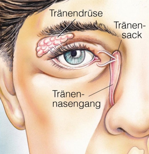 SARS-CoV-2 und Kontaklinsen/ Brille zur Sehfehlerkorrektur