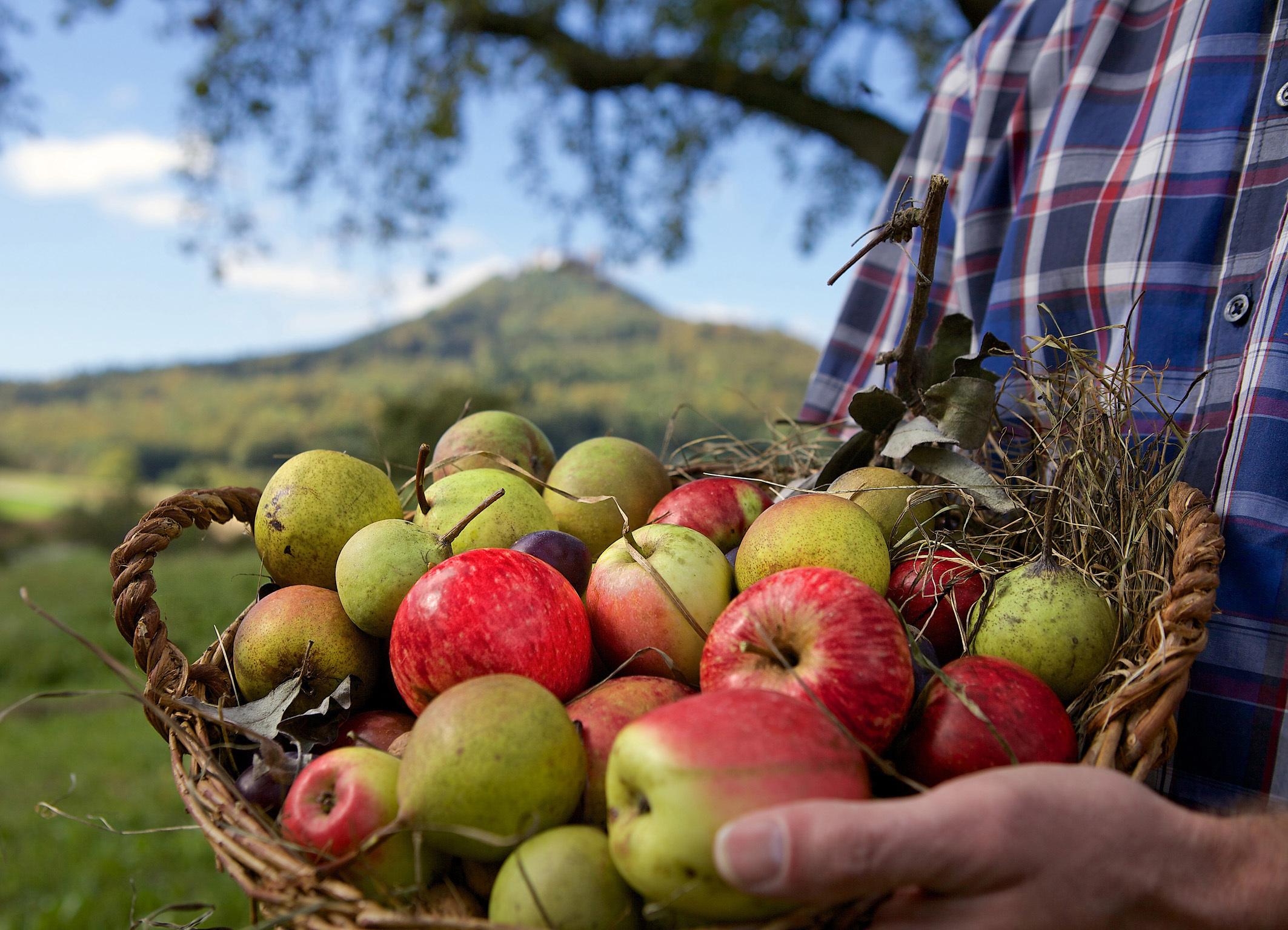 Endlich Regen: Wasser für die Streuobstwiesen