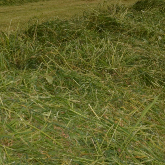 AGRAVIS-Umfrage: Erster Grasschnitt 2020 durchwachsen