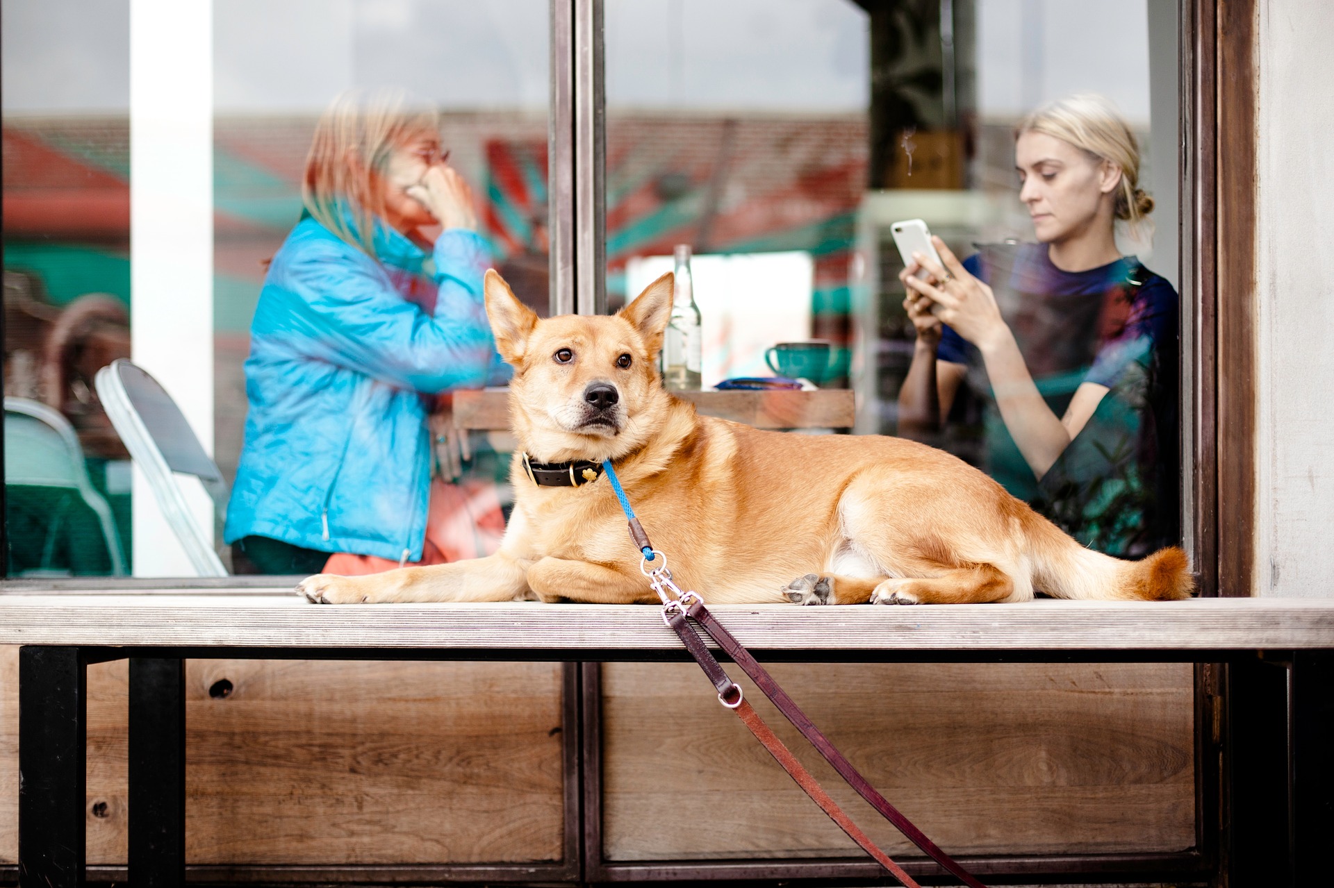 Werksverkauf: Persönliche Beratung beim Hundebett-Hersteller