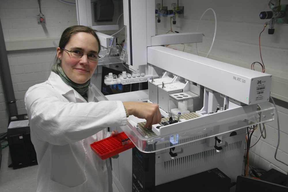 Kleiner Organismus mit großer Wirkung: Bakterium verändert das Ökosystem Darm