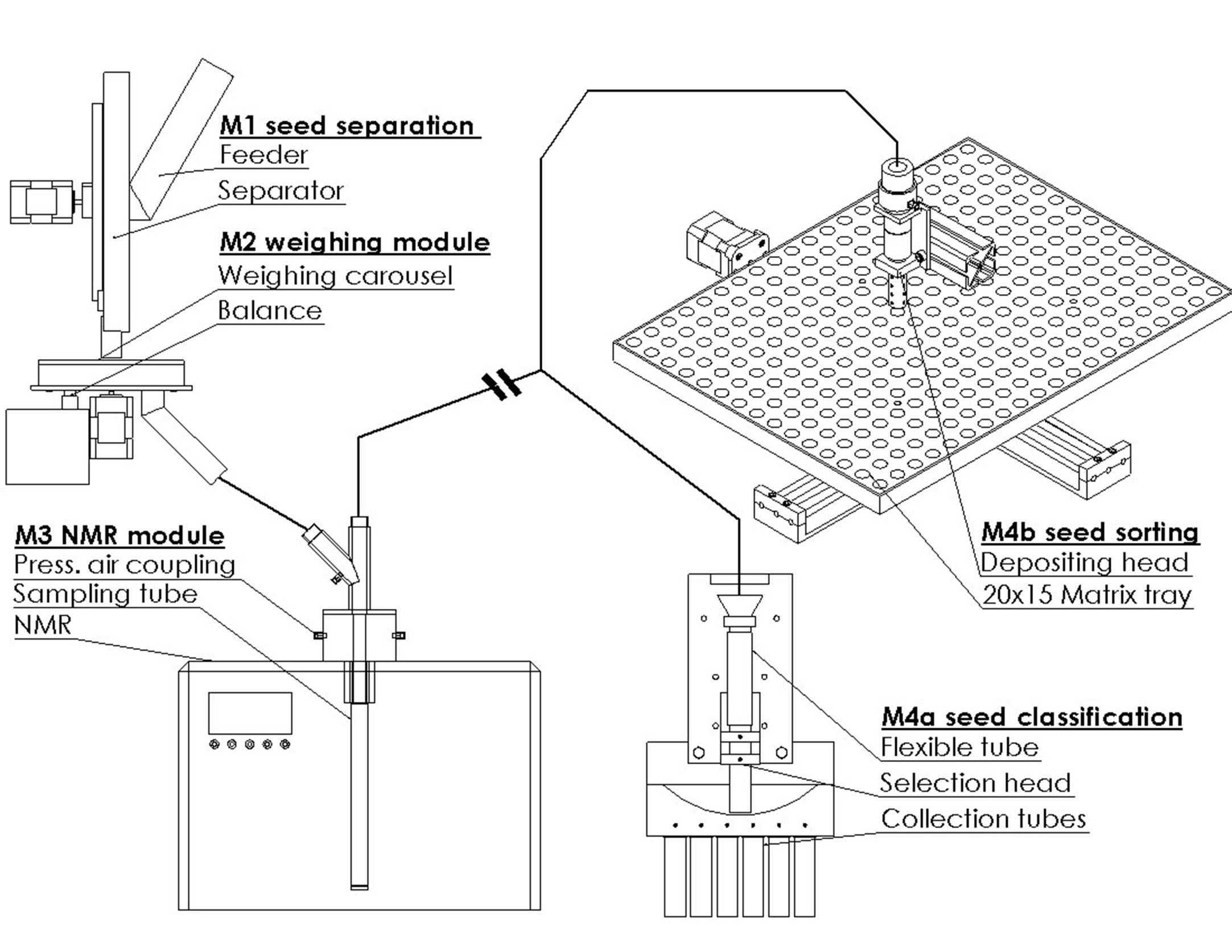 Neuartiges Sortiergerät analysiert Saatgut und macht es nachvollziehbar