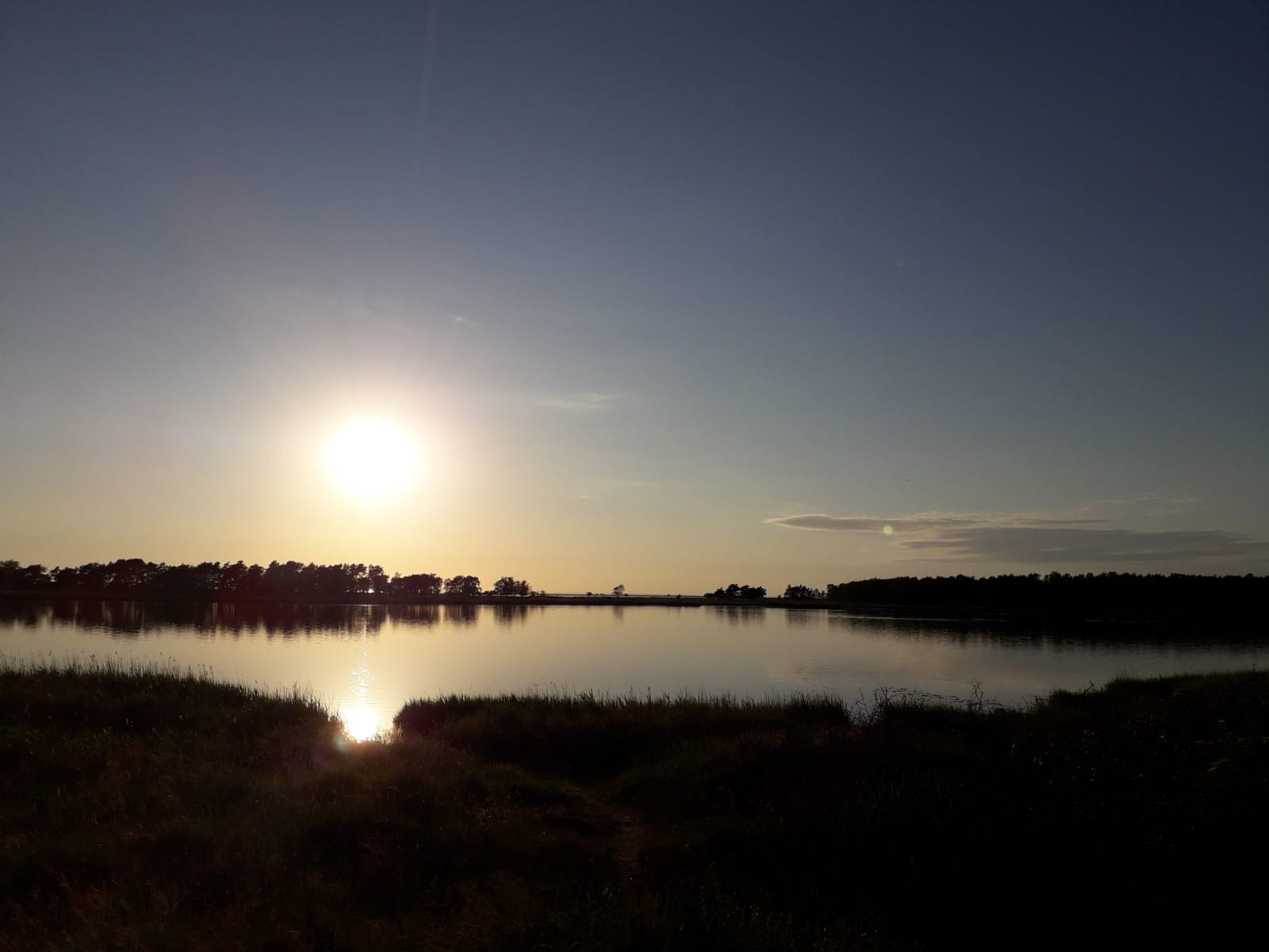 Mittsommer im Schloss Hohendorf