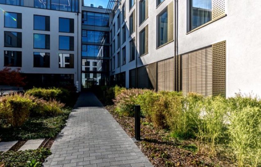 Facharzt für Kaiserslautern: Fakten zur Brustvergrößerung