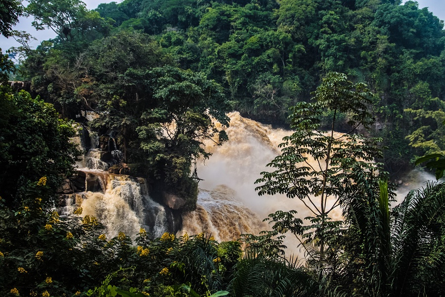 Enchanting Travels gleicht ab sofort CO2-Emissionen für alle Reisen aus