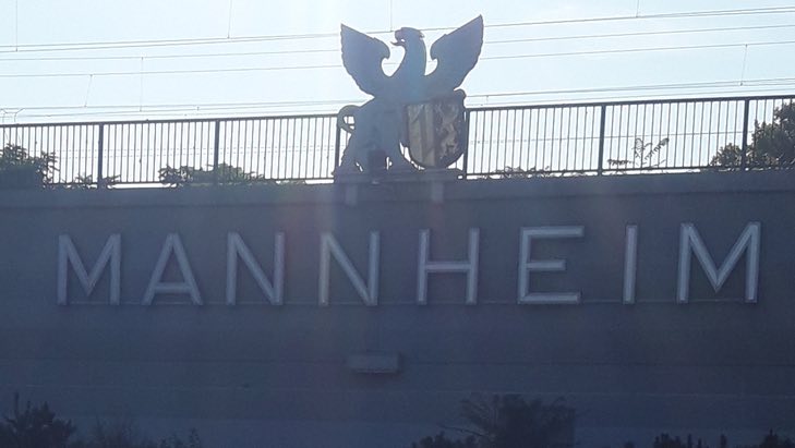 Der SEO Check für Unternehmen in Mannheim