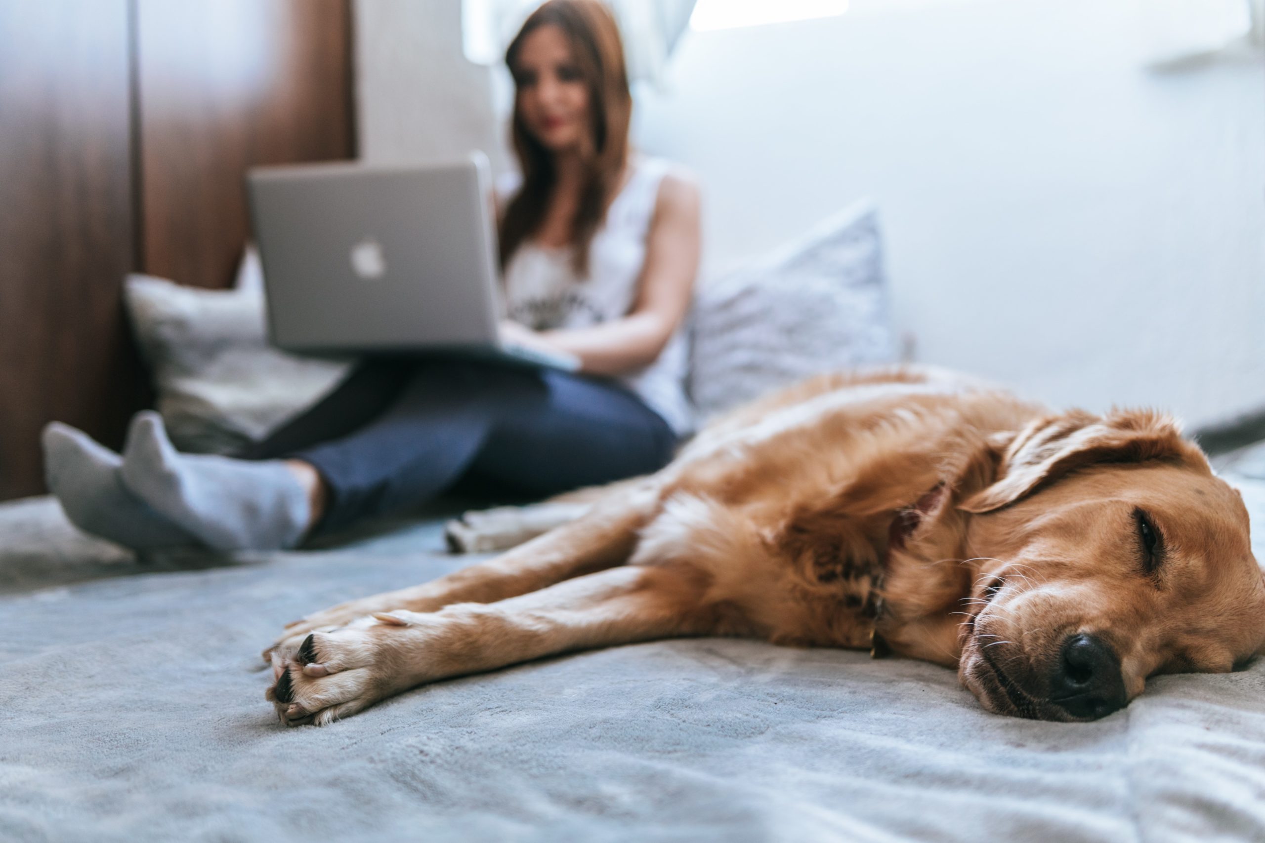 Aktueller denn je: Der neue Home Office Alltag