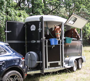 Mit-Pferden-reisen.de informiert: Planung für die Pferde-Reise mit Pferdeanhänger