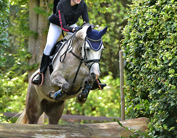 Erfolgreiches Vielseitigkeitsturnier im HRV