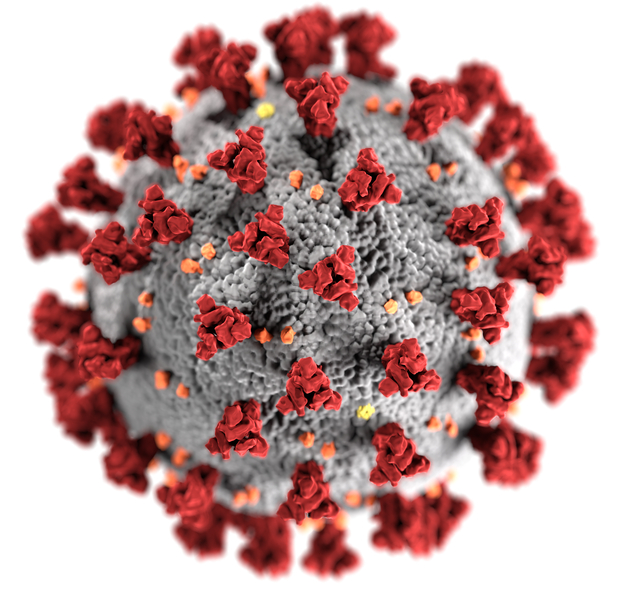 Corona Transition outet PCR-Tests als extrem fehleranfällig