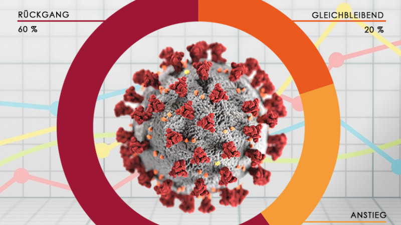 Branchenumfrage des Industrieverbandes Papier- und Folienverpackung