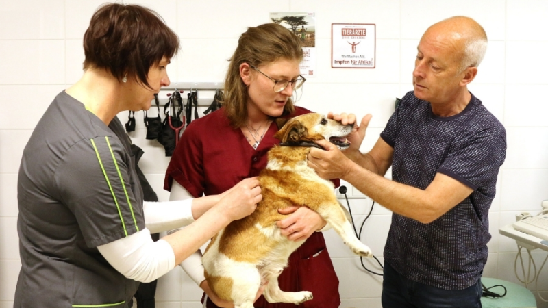 Kampagne Impfen für Afrika! 2020 in den Startlöchern