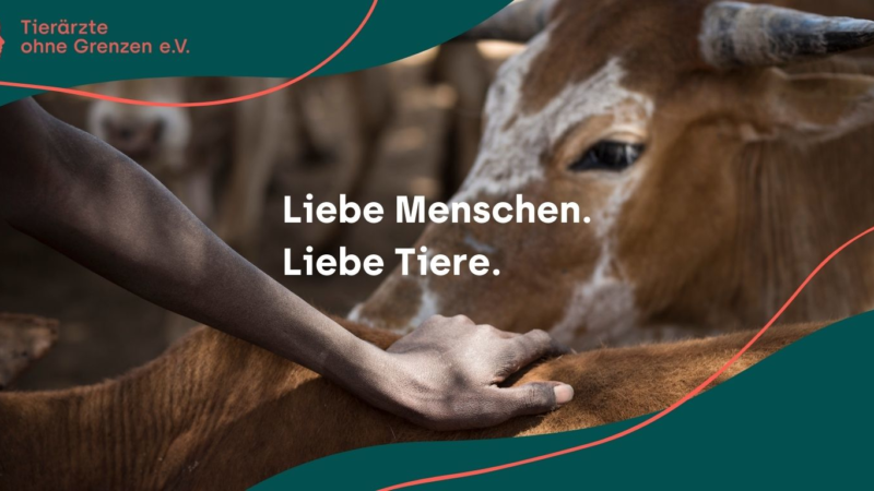 Tierärzte ohne Grenzen e. V. erstrahlt in neuem Glanz.