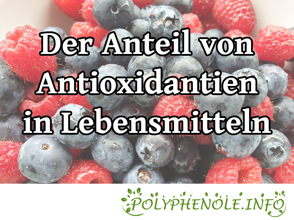 Der Anteil antioxidativer Stoffe diverser Lebensmittel