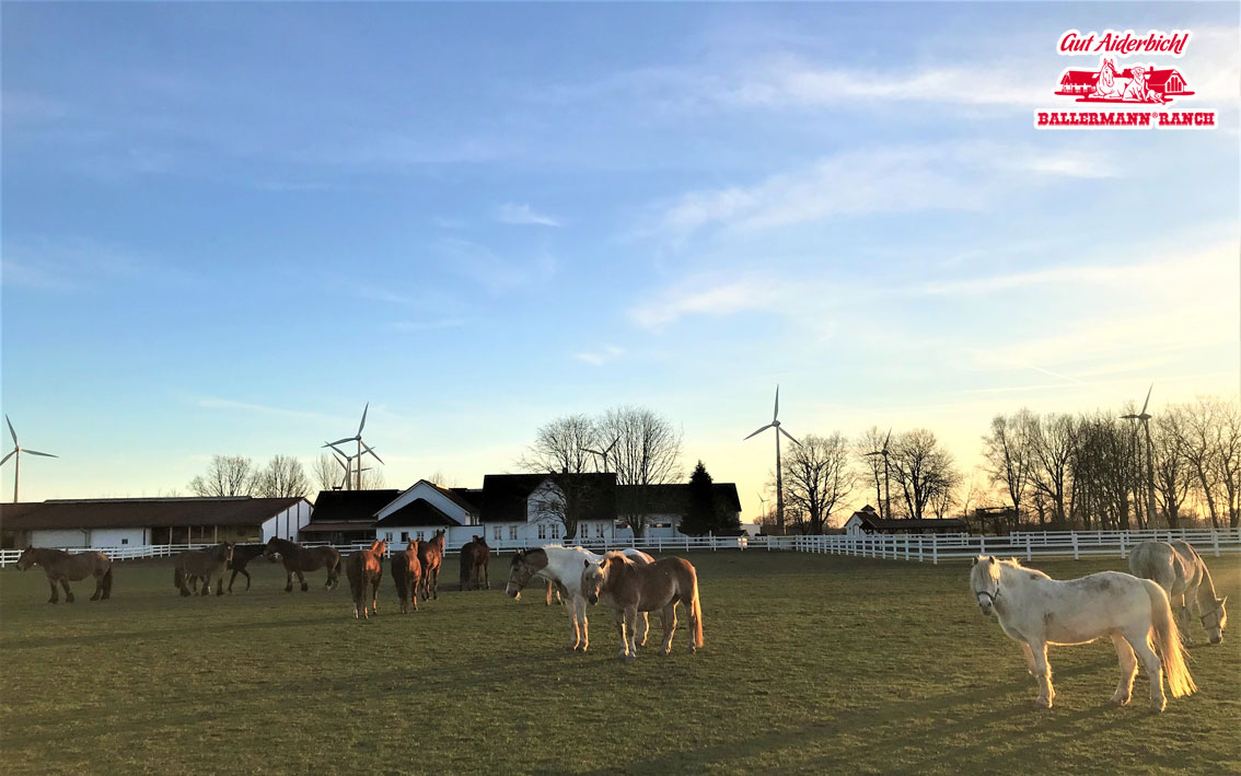 Ballermann Ranch öffnet auch am Feiertag