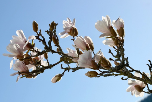 Augenarzt zu Ursachen und Behandlung bei Glaskörpertrübungen