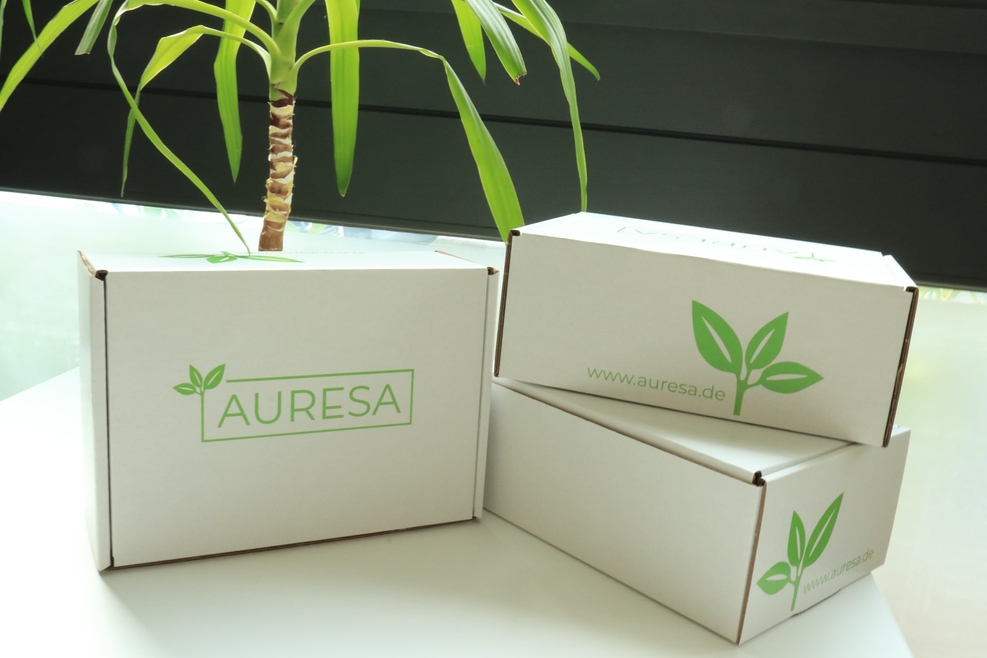 Tee genießen auf der ganzen Welt