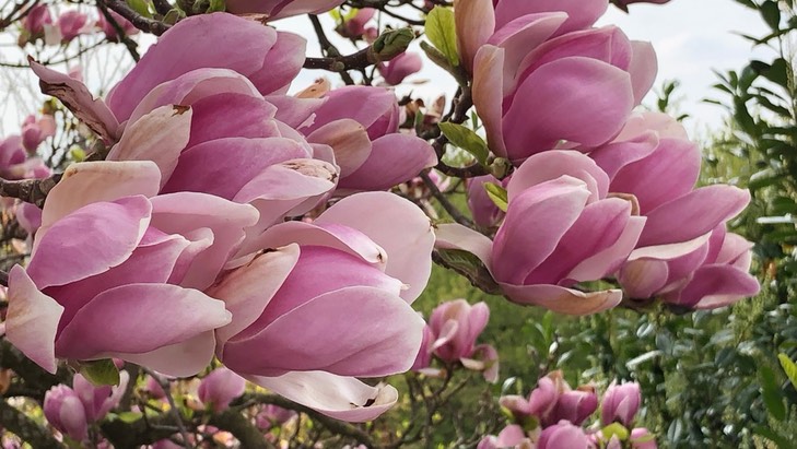 SEO stellt die Mode im Internet ins Rampenlicht