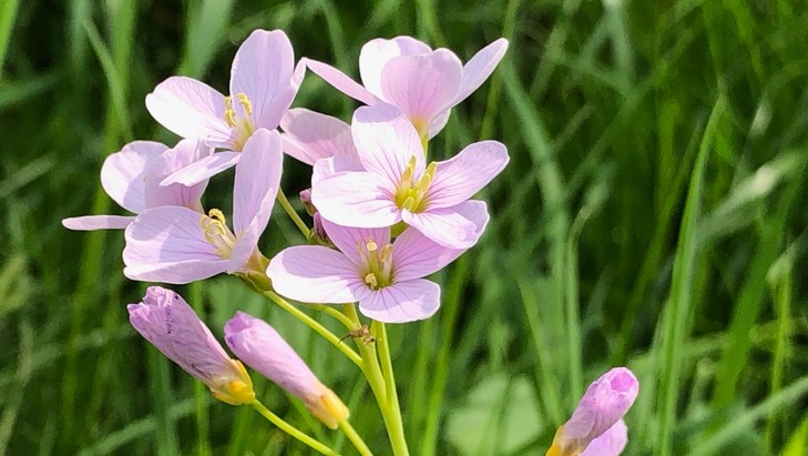Firmen in Osnabrück steigern Leads und Umsätze mit SEO Agentur
