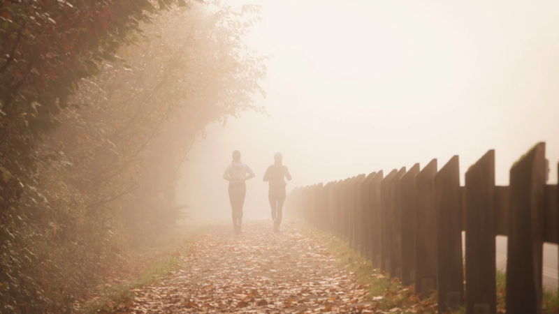 Sport an der „frischen“ Luft