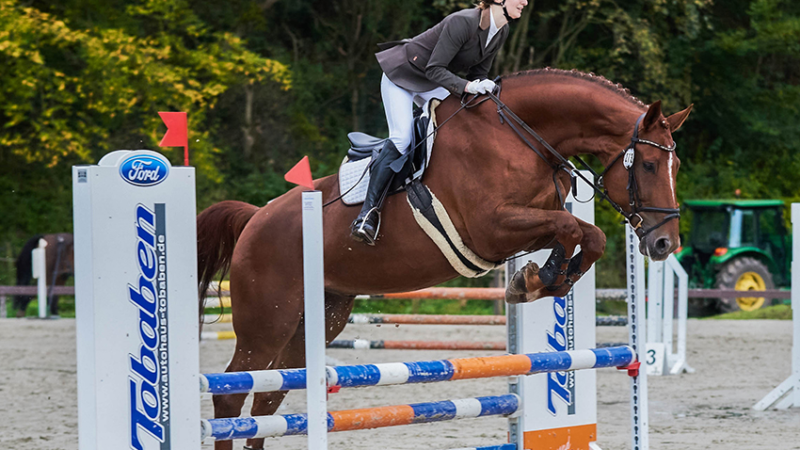 Erfolgreiches Herbstturnier im HRV