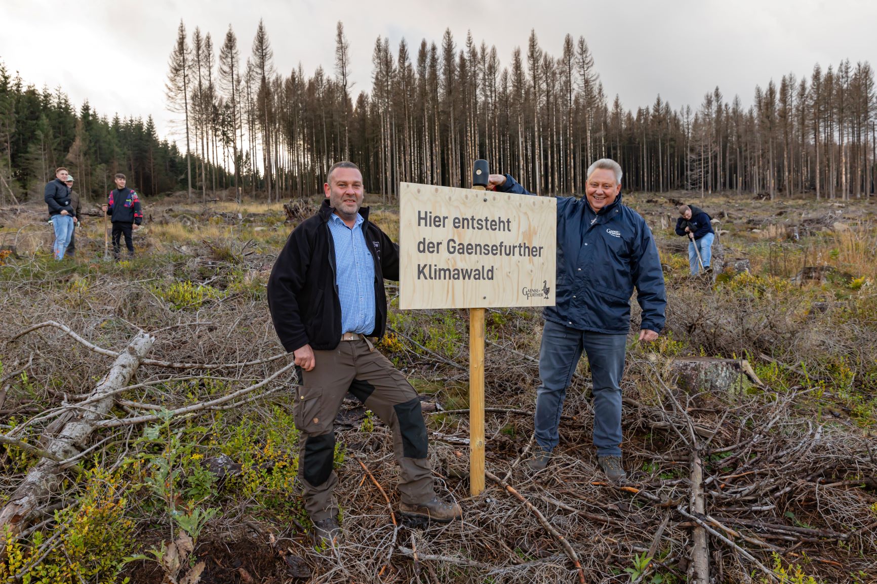 Gaensefurther Schlossbrunnen pflanzt 2.000 Bäume im Harz