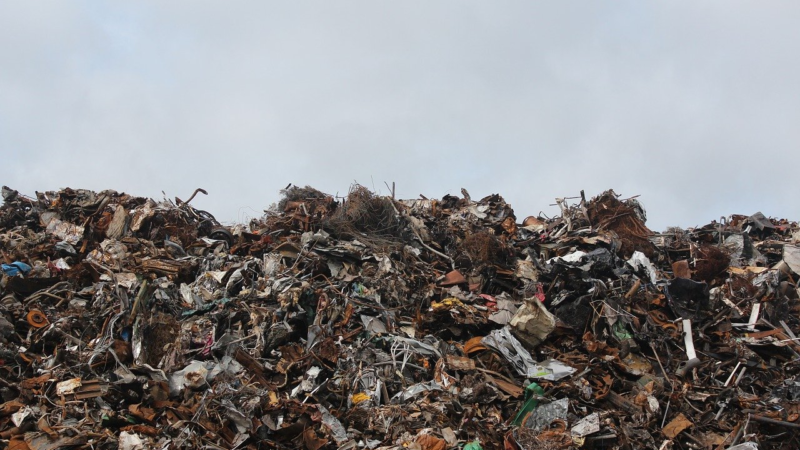 Plastikverschmutzung: globales Problem – wie handeln?