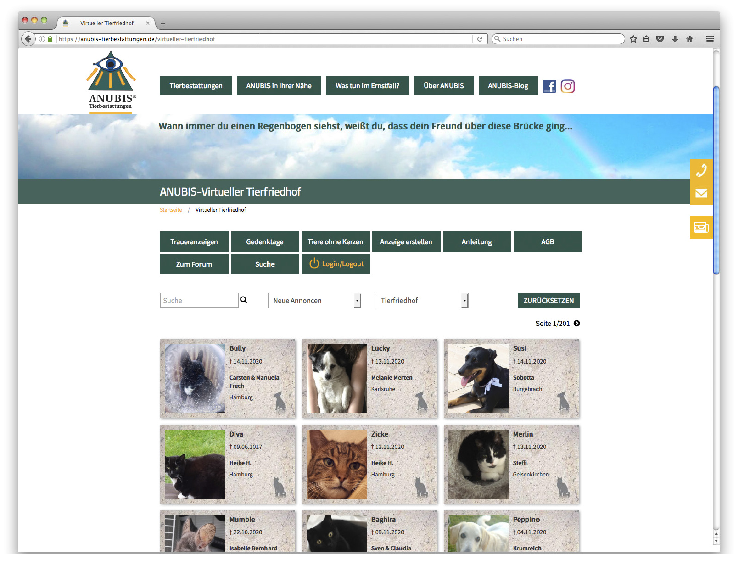 Hilfe und Trost beim Tod eines Haustieres, auch in Corona Zeiten