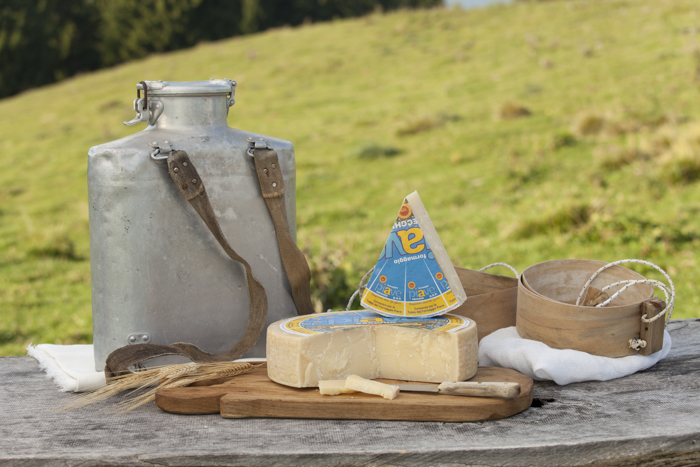 DER PIAVE KÄSE EROBERT WIEN IM STURM