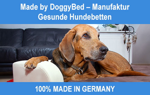 Gesunde Hundebetten – Made by DoggyBed® Manufaktur