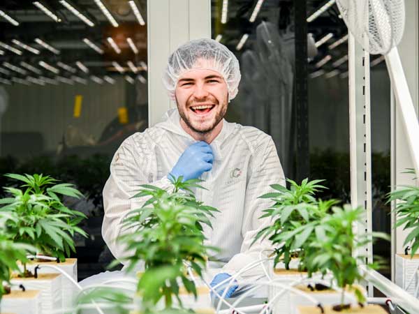 NEU : CBD – Die perfekte Kapitalanlage (CannabInvest)